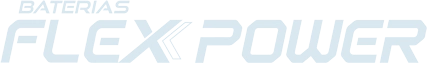 Logo Flex Power